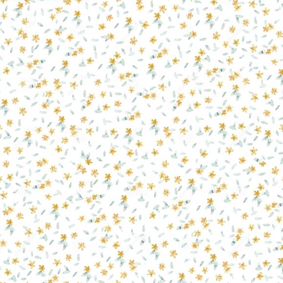 Info about my shop! - Picture 1 of 1